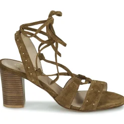 San Marina - MEXA/VEL Marron Sale
