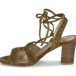 San Marina - MEXA/VEL Marron Sale
