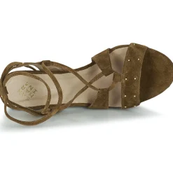 San Marina - MEXA/VEL Marron Sale
