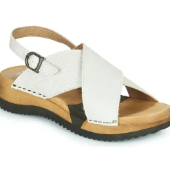 Sanita - WOOD-VENA Beige Outlet