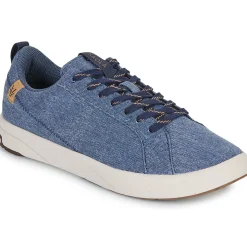 Saola Baskets Mode^- CANNON CANVAS 2.0