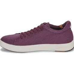 Saola - CANNON KNIT 2.0 WOOL Bordeaux