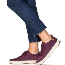 Saola - CANNON KNIT 2.0 WOOL Bordeaux