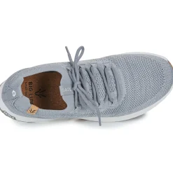 Saola - TSAVO 3 Gris Outlet