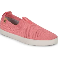 Saola - VIRUNGA Rose New