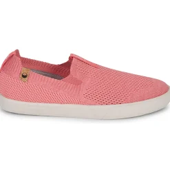 Saola - VIRUNGA Rose New