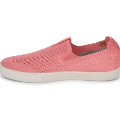 Saola - VIRUNGA Rose New