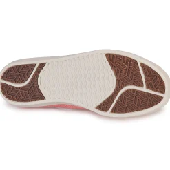 Saola - VIRUNGA Rose New