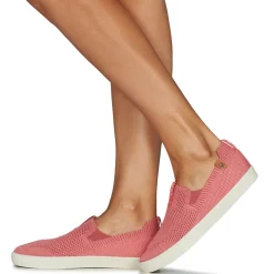 Saola - VIRUNGA Rose New
