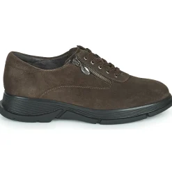 Scholl - BRISTOL ZIP Marron Online