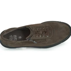 Scholl - BRISTOL ZIP Marron Online