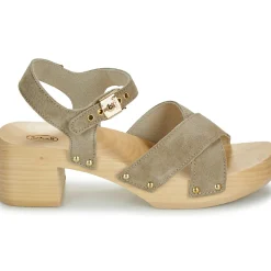 Scholl - PESCURA CATE Beige Best
