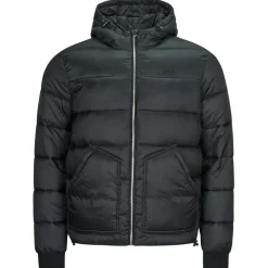 Schott - HAWK-RS Noir New