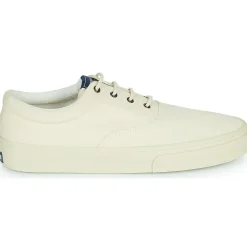 Sebago - JOHN SUEDE< Baskets Mode