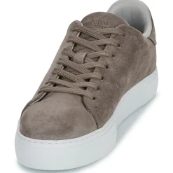 Selected Baskets Mode^- SLHDAVID