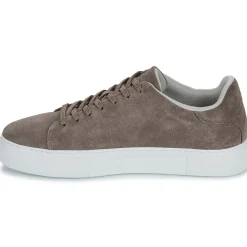 Selected Baskets Mode^- SLHDAVID