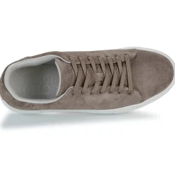 Selected Baskets Mode^- SLHDAVID