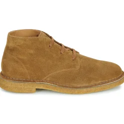 Selected - SLHRICCO< Bottines / Boots