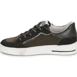 Semerdjian - ALE< Baskets Mode