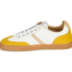 Serafini - COURT Sale