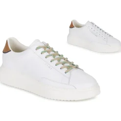 Serafini - ROGER 2 Online