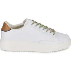 Serafini - ROGER 2 Online