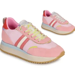 Serafini - TORINO Rose Online