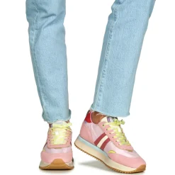Serafini - TORINO Rose Online
