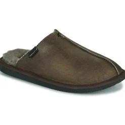 Shepherd - HUGO Marron Discount