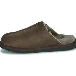 Shepherd - HUGO Marron Discount