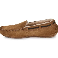 Shepherd - STEFFO< Pantoufles / Chaussons