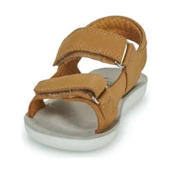 Shoo Pom - GOA BOY SCRATCH CAMEL Online