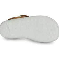 Shoo Pom - GOA BOY SCRATCH CAMEL Online