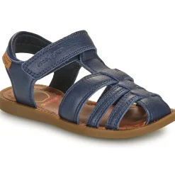 Shoo Pom - SOLAR TONTON Marine Online