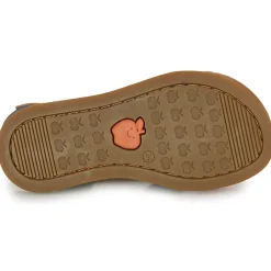 Shoo Pom - SOLAR TONTON Marine Online
