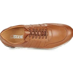 So Size - FELIX< Baskets Mode