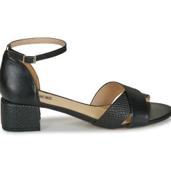 So Size - MAELA Black Outlet