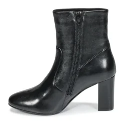 Steve Madden - AVENUE< Bottines / Boots