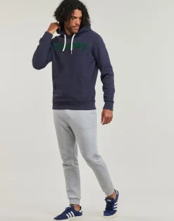 Superdry Sweats & Polaires^- HOODED CORE LOGO