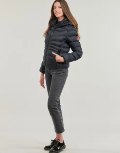 Superdry - HOODED FUJI PADDED JACKET Marine Discount