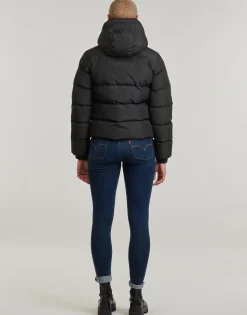 Superdry - HOODED SPORT< Manteaux