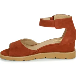 Sweet - ETUVESS Clearance