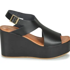 Sweet Lemon - IJOX Noir New