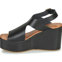 Sweet Lemon - IJOX Noir New