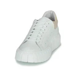 Sweet Lemon - PLANTO Online