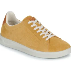 TBS - FLAUBER Jaune Hot