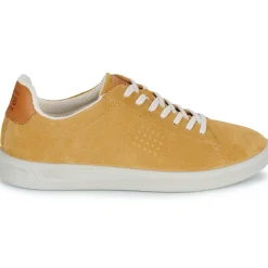 TBS - FLAUBER Jaune Hot