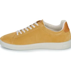 TBS - FLAUBER Jaune Hot