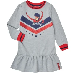 TEAM HEROES  - DRESS LADYBUG Gris New
