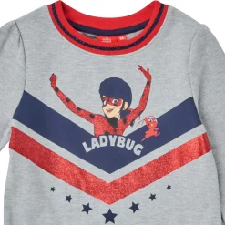 TEAM HEROES  - DRESS LADYBUG Gris New